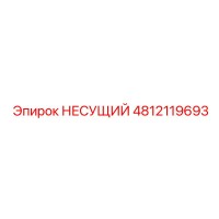 4812119693 НЕСУЩИЙ Epiroc