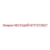 9717372827 НЕСУЩИЙ Epiroc