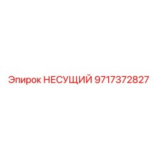 Усиленный несущий элемент Epiroc 9717372827