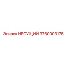 3760003175 НЕСУЩИЙ Epiroc