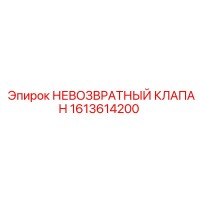 1613614200 НЕВОЗВРАТНЫЙ КЛАПАН (Epiroc)