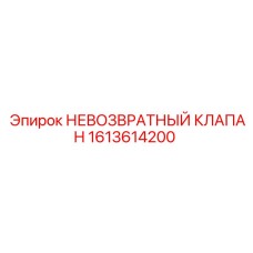 1613614200 НЕВОЗВРАТНЫЙ КЛАПАН (Epiroc)