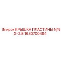 1630700494 КРЫШКА ПЛАСТИНЫ N/NG-2.8 Epiroc