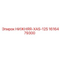 1616479300 НИЖНЯЯ-XAS-125 Epiroc