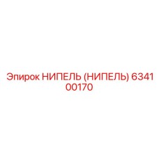 634100170 НИПЕЛЬ (НИПЕЛЬ) Epiroc