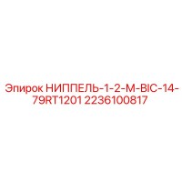 2236100817 НИППЕЛЬ-1-2-М-BIC-14-79RT1201 Epiroc