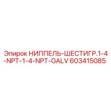 603415085 НИППЕЛЬ-ШЕСТИГР.1-4-NPT-1-4-NPT-GALV Epiroc