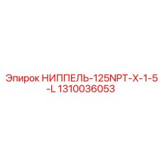 1310036053 НИППЕЛЬ-125NPT-X-1-5-L Epiroc
