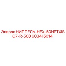 603415014 НИППЕЛЬ-HEX-50NPTXISO7-R-500 Epiroc