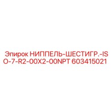 603415021 НИППЕЛЬ-ШЕСТИГР.-ISO-7-R2-00X2-00NPT Epiroc