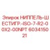 603415021 НИППЕЛЬ-ШЕСТИГР.-ISO-7-R2-00X2-00NPT Epiroc
