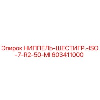 603411000 НИППЕЛЬ-ШЕСТИГР.-ISO-7-R2-50-MI Epiroc