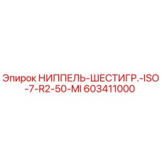 603411000 НИППЕЛЬ-ШЕСТИГР.-ISO-7-R2-50-MI Epiroc