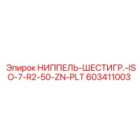 603411003 НИППЕЛЬ-ШЕСТИГР.-ISO-7-R2-50-ZN-PLT Epiroc