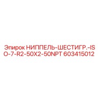 603415012 НИППЕЛЬ-ШЕСТИГР.-ISO-7-R2-50X2-50NPT Epiroc