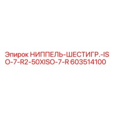 603514100 НИППЕЛЬ-ШЕСТИГР.-ISO-7-R2-50XISO-7-R Epiroc