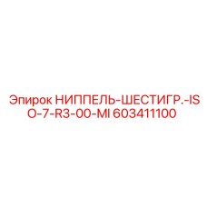 603411100 НИППЕЛЬ-ШЕСТИГР.-ISO-7-R3-00-MI Epiroc