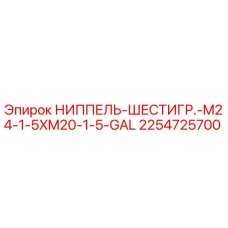 2254725700 НИППЕЛЬ-ШЕСТИГР.-M24-1-5XM20-1-5-GAL Epiroc