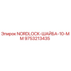 9753213435 NORDLOCK-ШАЙБА-10-ММ Epiroc