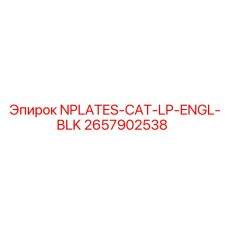 2657902538 NPLATES-CAT-LP-ENGL-BLK Epiroc