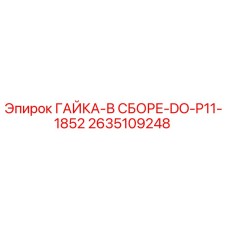 2635109248 ГАЙКА-В СБОРЕ-DO-P11-1852 Epiroc