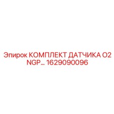 1629090096 КОМПЛЕКТ ДАТЧИКА O2 NGP Epiroc