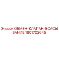 1901702645 ОБМЕН-КЛАПАН-ВСАСЫВАНИЕ Epiroc