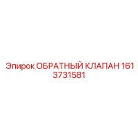 1613731581 ОБРАТНЫЙ КЛАПАН Epiroc