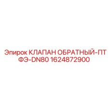 Химстойкий обратный клапан DN80 Epiroc с тефлоном