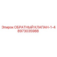 8973035988 ОБРАТНЫЙ КЛАПАН-1-4 Epiroc