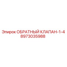 8973035988 ОБРАТНЫЙ КЛАПАН-1-4 Epiroc