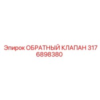 3176898380 ОБРАТНЫЙ КЛАПАН Эпирок