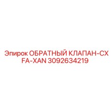 3092634219 ОБРАТНЫЙ КЛАПАН-CXFA-XAN Epiroc