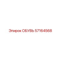 57164568 ОБУВЬ Epiroc