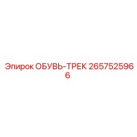 2657525966 ОБУВЬ-ТРЕК Epiroc