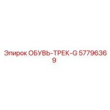 57796369 ОБУВЬ-ТРЕК-G Epiroc
