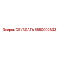 5580002833 ОБУЗДАТЬ Epiroc