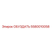 5580010058 Обуздать Epiroc