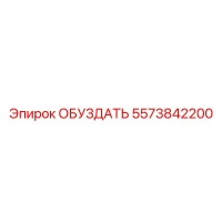 5573842200 ОБУЗДАТЕЛЬ Epiroc