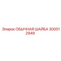 300012949 ОБЫЧНАЯ ШАЙБА Epiroc