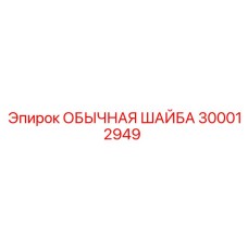 300012949 ОБЫЧНАЯ ШАЙБА Epiroc