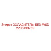 2205198759 ОХЛАДИТЕЛЬ-БЕЗ-WSD Epiroc