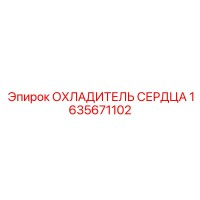 1635671102 ОХЛАДИТЕЛЬ СЕРДЦА Epiroc