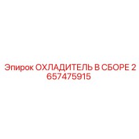 2657475915 ОХЛАДИТЕЛЬ В СБОРЕ Epiroc