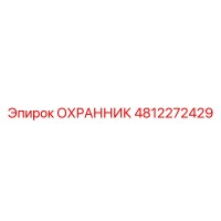 4812272429 ОХРАННИК Epiroc