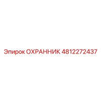 4812272437 ОХРАННИК Epiroc