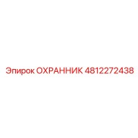 4812272438 ОХРАННИК Epiroc