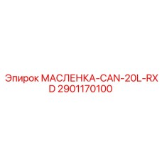 Промышленная канистра 20л 2901170100 Epiroc