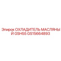 GS15664893 ОХЛАДИТЕЛЬ МАСЛЯНЫЙ GSH55 Epiroc
