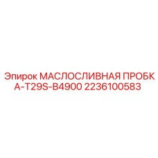 2236100583 МАСЛОСЛИВНАЯ ПРОБКА-T29S-B4900 Epiroc